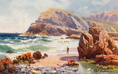 The Capstone, Ilfracombe (litografia a cores) de Henry B. (after) Wimbush