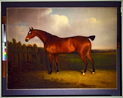 Um cavalo de corrida baio, propriedade de Carlos 5º Duque de Richmond e Lennox, numa paisagem (pintura) de Henry Bernard Chalon