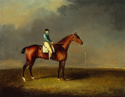 Sua Alteza Real, o Príncipe de Gales, o cavalo de corrida baio Sir David, por Trumpator, com Chifney em cima, em Newmarket Heath de Henry Bernard Chalon
