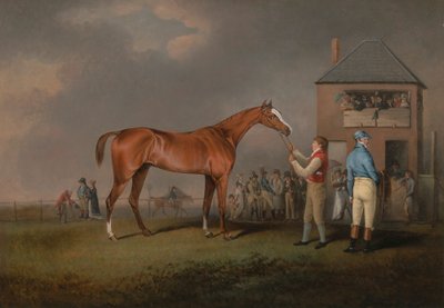 Quiz, depois da sua última corrida em Newmarket de Henry Bernard Chalon