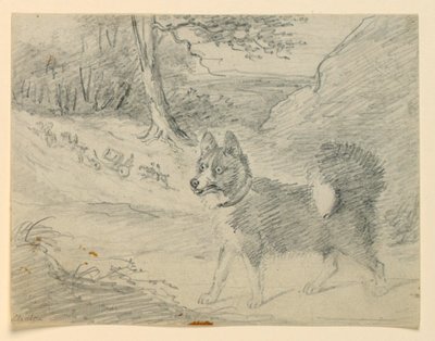Estudo de um Elk Hound de Henry Bernard Chalon