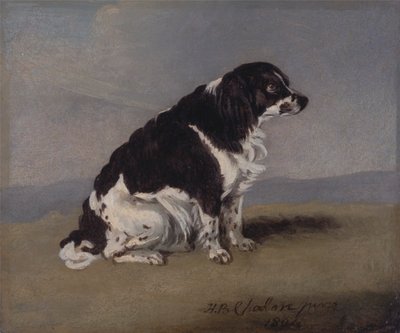 O espanhol da Duquesa de York de Henry Bernard Chalon