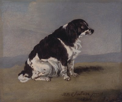 O Spaniel da Duquesa de York de Henry Bernard Chalon