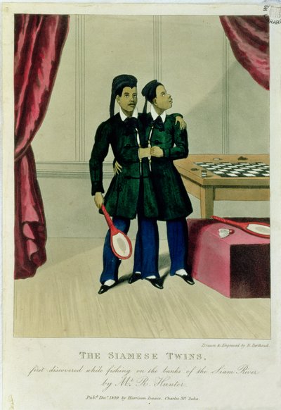 Os gêmeos siameses, descoberto pela primeira vez durante a pesca nas margens do rio Siam pelo Sr. R. Hunter, 1829 de Henry Berthoud
