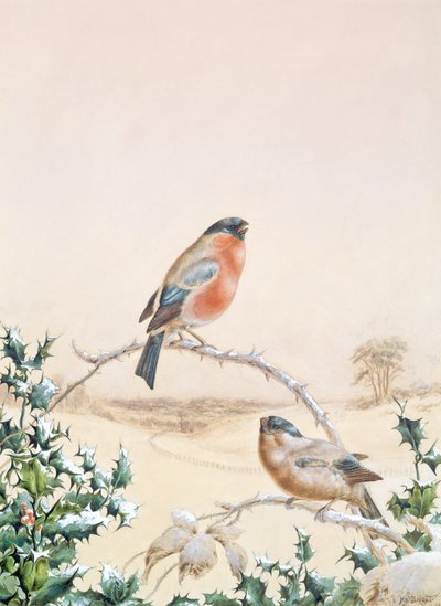 Cena inverno, com, tentilhão, e, azevinho de Henry Bright