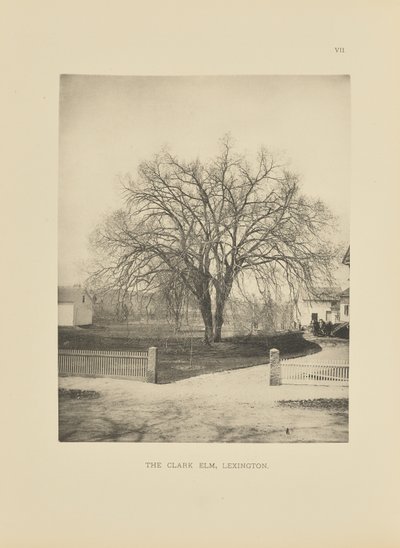 The Clark Elm, Lexington de Henry Brooks