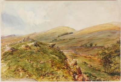 Monte Cockmount (bodycolour) de Henry Burdon Richardson