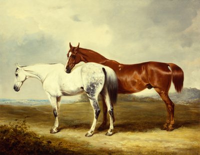 Cavalos de carruagem no pasto de Henry Calvert