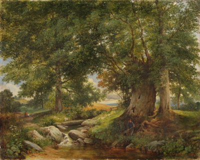 Um córrego da truta perto de Worcester, 1866 de Henry Chaplin