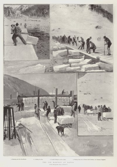 A colheita do gelo em Davos de Henry Charles Seppings Wright