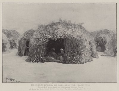 A Expedição Somalilândia, o Hospital de Las Durie, Alas de Isolamento de Henry Charles Seppings Wright