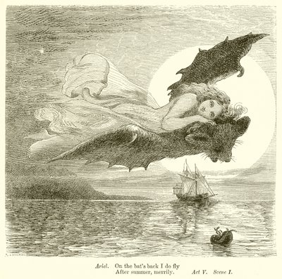 A tempestade de Henry Courtney Selous