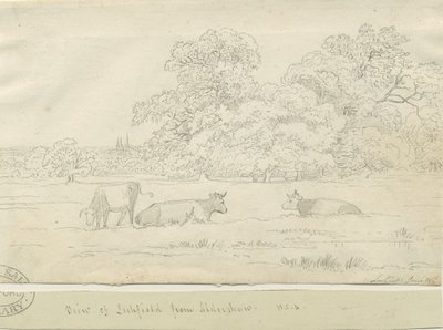 Lichfield - Vista de Aldershaw de Henry Curzon Allport