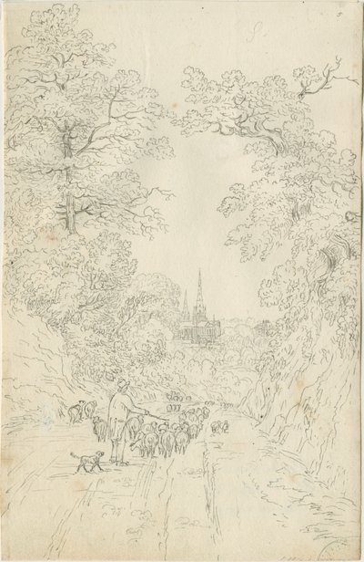 Catedral de Lichfield - vista para o sudeste de Henry Curzon Allport