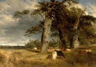 Paisagem, em, a, Dukeries, nottinghamshire, 1850 de Henry Dawson