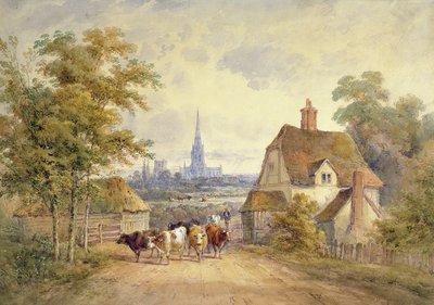 Catedral de Chichester, Sussex de Henry Earp