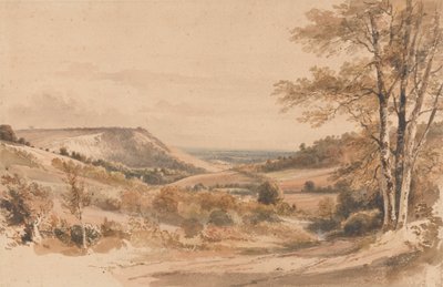 Boxhill de Westhumble Lane de Henry Edridge