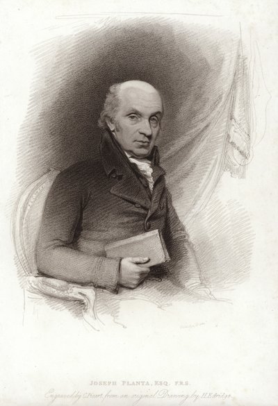 Planta de José de Henry Edridge