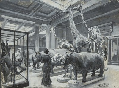 Vista interna do Museu Britânico mostrando a galeria com exposições de animais, c.1880 de Henry Edward Tidmarsh