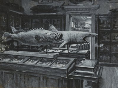 Vista interior do Museu Britânico mostrando a galeria de exposições de peixe, c.1880 (lavagem e corpórea sobre papel) de Henry Edward Tidmarsh
