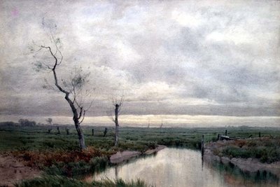 Pântanos costeiros (aguarela) de Henry Farrer