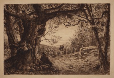 Na encosta de Henry Farrer