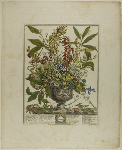 Janeiro, de Doze Meses de Flores de Henry Fletcher