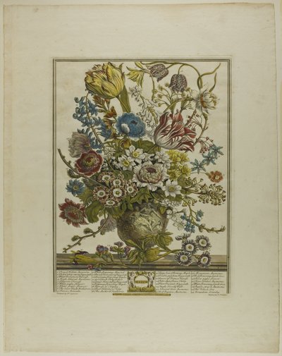Março, de Doze Meses de Flores de Henry Fletcher