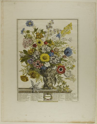 Novembro, de Doze Meses de Flores de Henry Fletcher