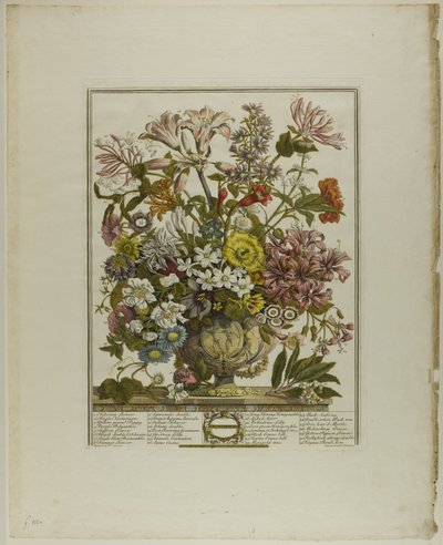 Outubro, de Doze Meses de Flores de Henry Fletcher
