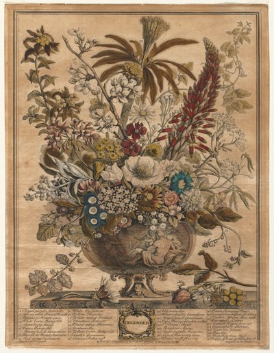 Doze meses de flores: dezembro de 1730. de Henry Fletcher