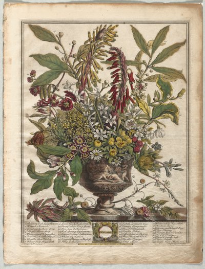 Doze Meses de Flores: Janeiro de Henry Fletcher