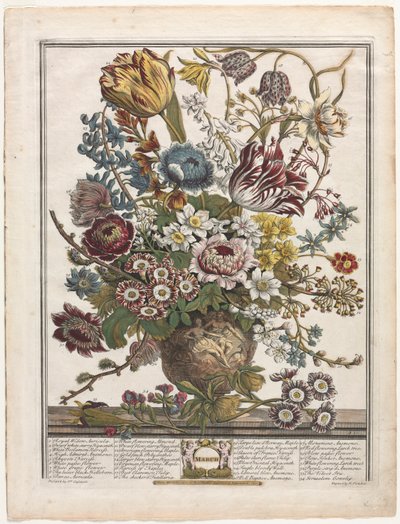 Doze meses de flores: março de Henry Fletcher