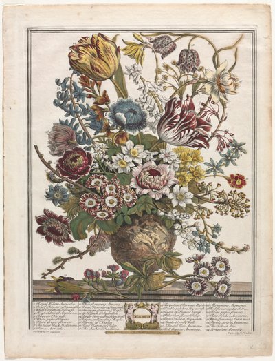 Doze meses de flores: março de 1730. de Henry Fletcher