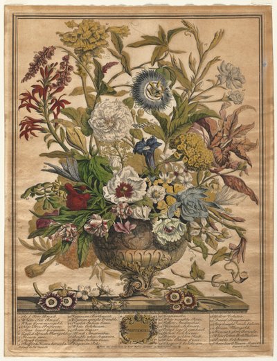 Doze Meses de Flores: Setembro, 1730. de Henry Fletcher