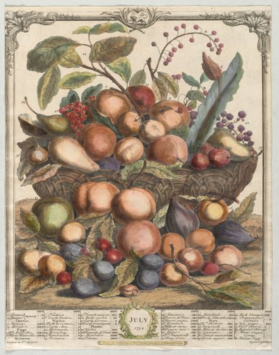 Doze meses de frutas: julho de Henry Fletcher