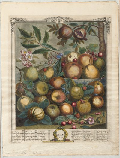 Doze meses de fruta:  maio de Henry Fletcher