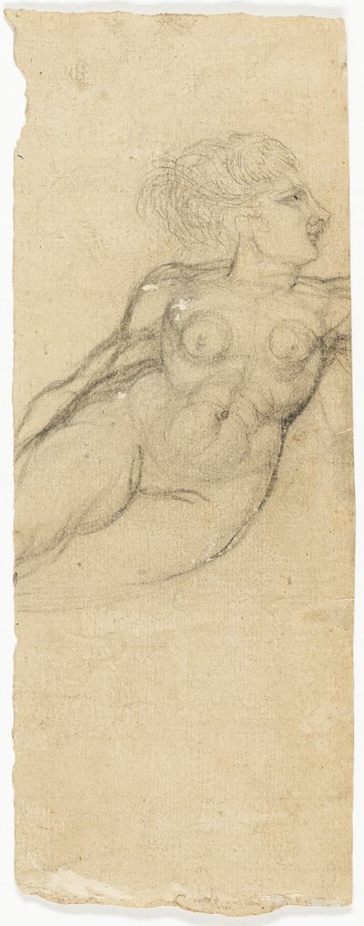 Estudos de nus de Henry Fuseli