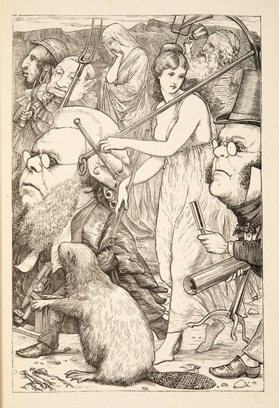 Para persegui-lo com garfos e esperança &39;, de A caça do Snark, uma agonia em oito encaixa, por Lewis Carroll, pub. 1876 de Henry Holiday