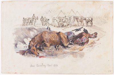 A nossa Cavalaria, Cavalos Mortos de Henry John Wilkinson