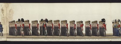 Parte da visão panorâmica de toda a procissão fúnebre de Arthur, Duque de Wellington (aquatinta colorida) de Henry Jr and Sala Alken