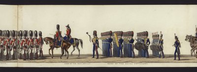Parte da visão panorâmica de toda a procissão fúnebre de Arthur, Duque de Wellington (aquatinta colorida) de Henry Jr and Sala Alken