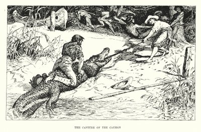 A captura do Caimão (gravura) de Henry Justice Ford