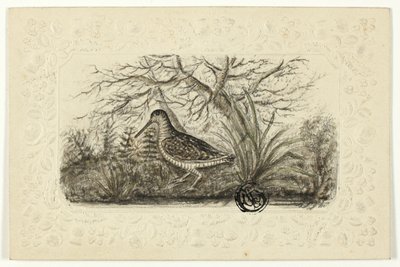 Galo silvestre de Henry Lejeune