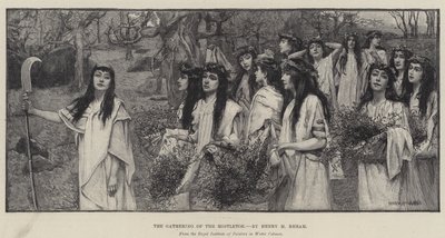 O recolhimento do visco de Henry Meynell Rheam