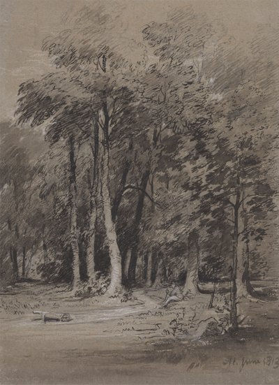 Um trilho arborizado de Henry Monro