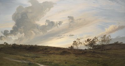 Uma Noite Selvagem Depois da Chuva, Yorkshire de Henry Moore