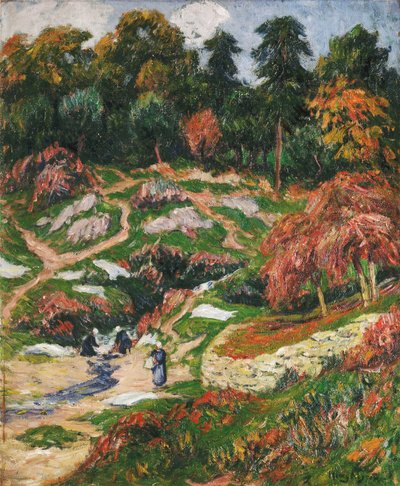A lavanderia em Doelan, Finistere; Le Levoir a Doelan, Finistere, de Henry Moret