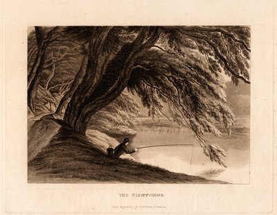 As Lagoas de Peixe de Henry Morton