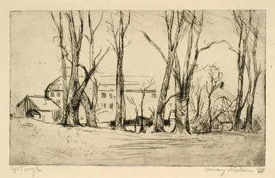 Edifício semelhante a um hospital visto entre grandes árvores de Henry Nielsen